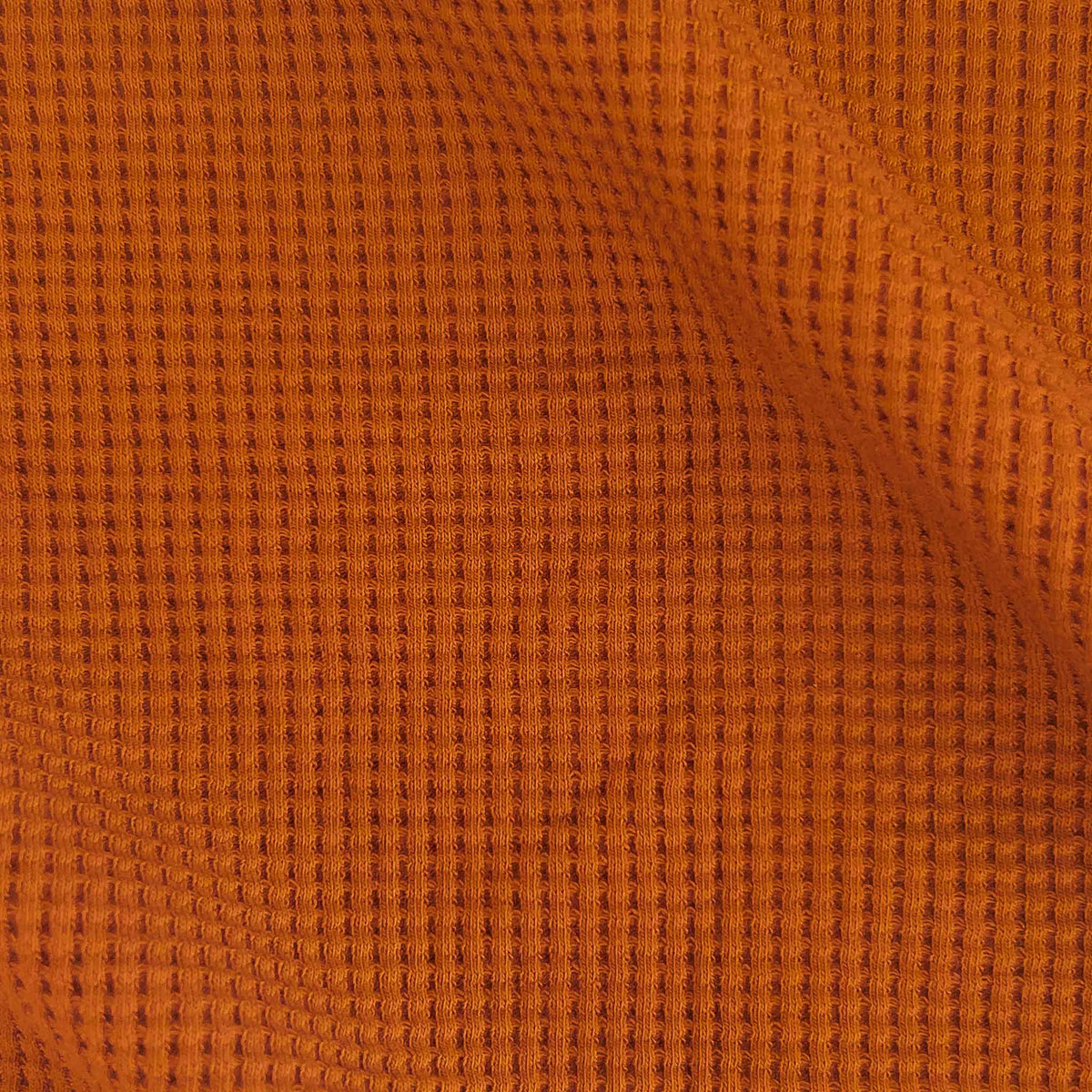 fiorellini colorati-1 49.jpg